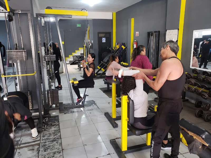 D&M Fitness, gimnasio mixto