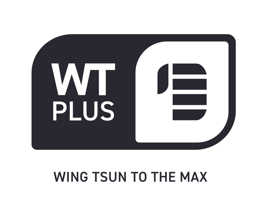 Wing Tsun Schulen M.Stöger