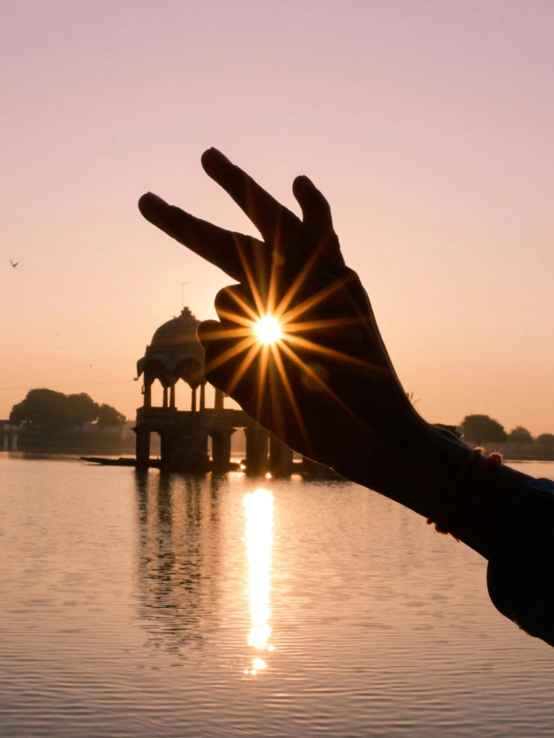 YOGA SANGHA ☼ cours de hatha yoga traditionnel
