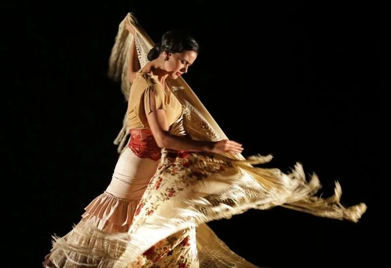 Carolina Pozuelo Clases Baile Flamenco