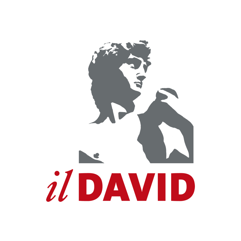 Palestra Il David Jesi