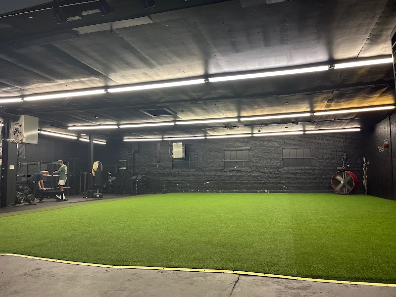 Amoriana Sports Performance