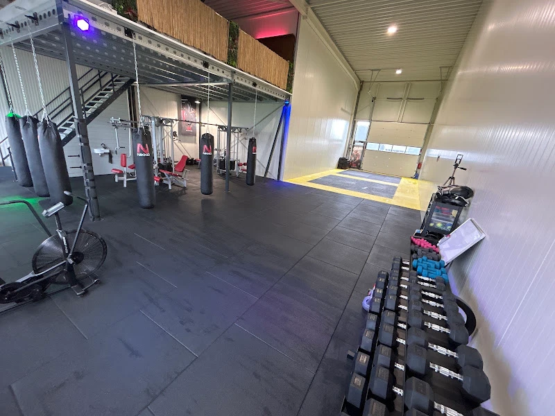 Experience gym