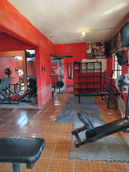 Strong gym fitness