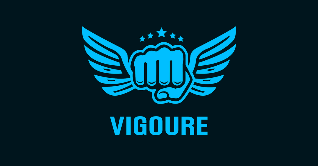 Vigoure MMA and Fitness - JP Nagar