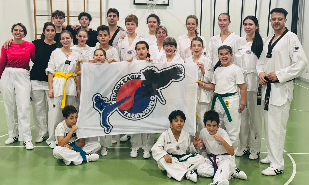 Taekwondo Lugano Arti Marziali