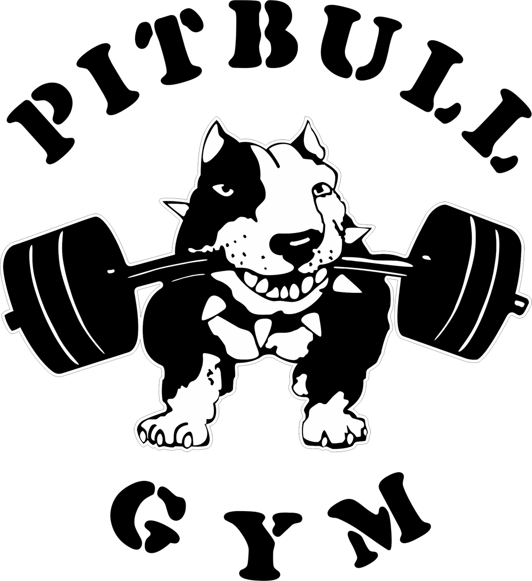 Siłownia Starachowice | PITBULL GYM