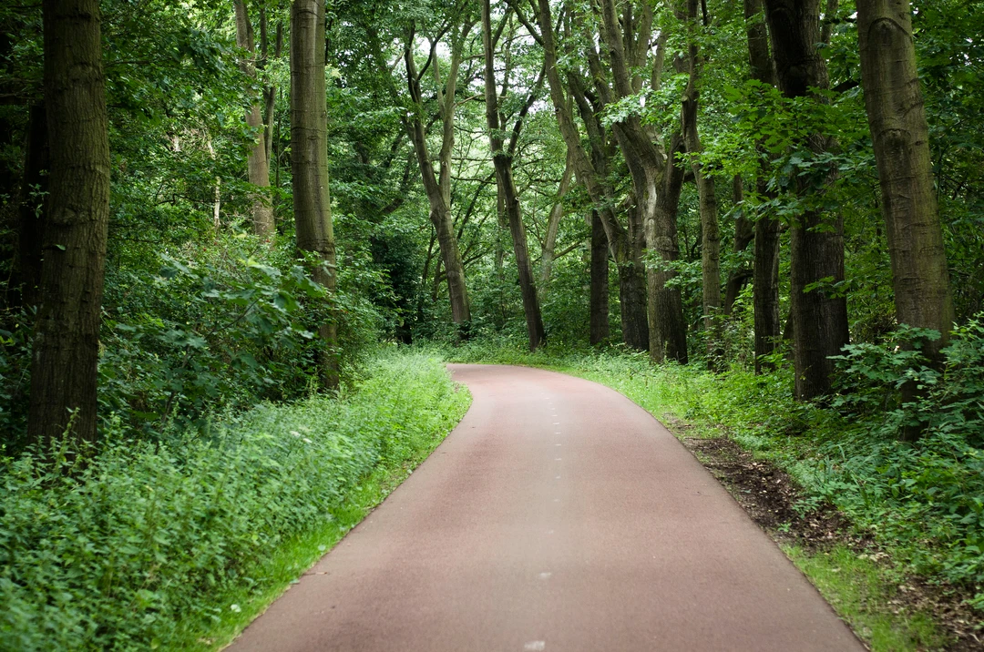 Yoga Bewust Zijn Venray