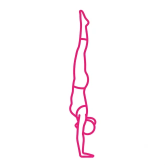 Circo Elastico