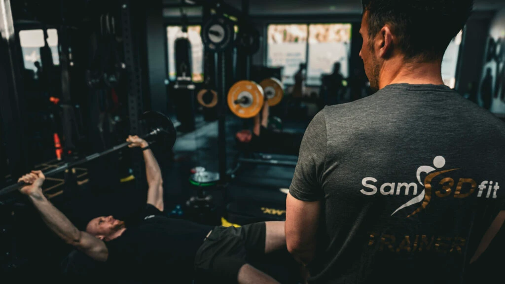 Sam3Dfit