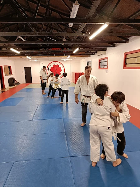 Furui Ryu jiu-jitsu