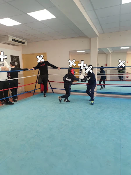 Stade Poitevin Boxe