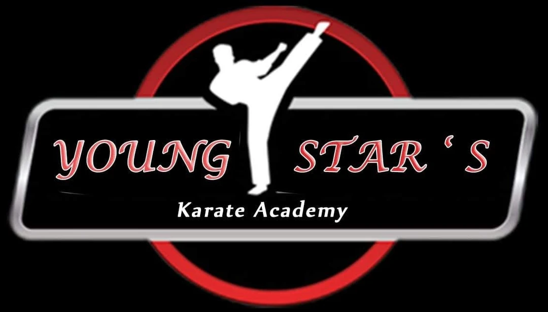 young stars karate academy