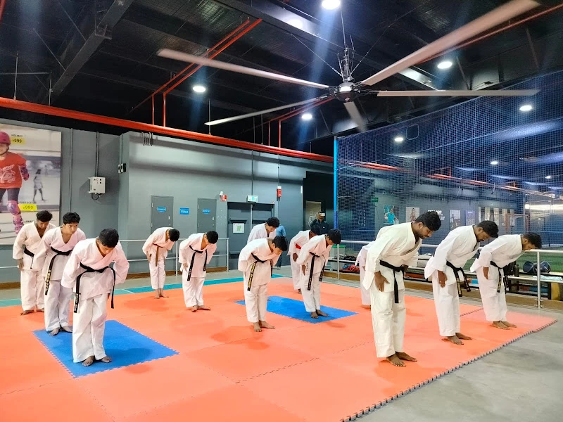 Okinawan Karate Club
