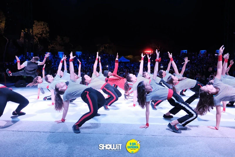 Showit Dance Academy