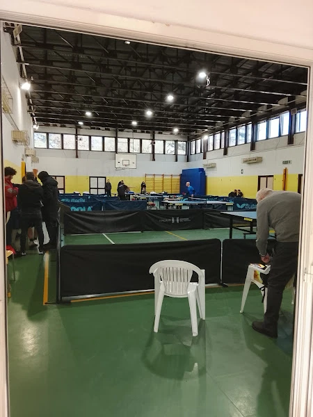 KingPong Table Tennis Association - EUR Cattaneo