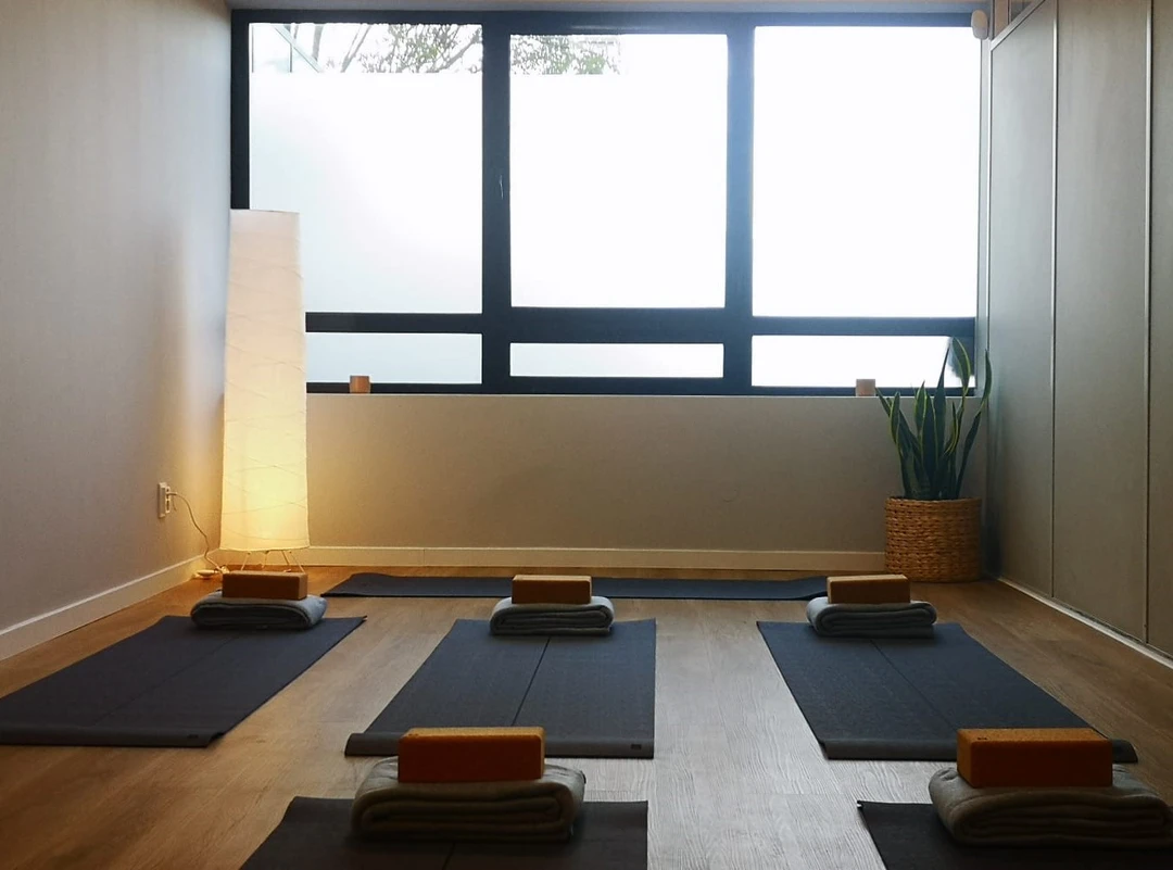 Zhi Studio Yoga e Pilates na Maia