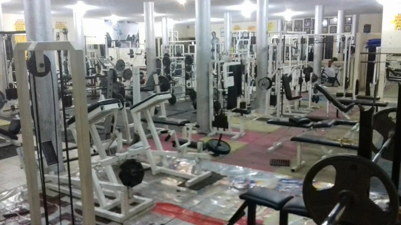 Mongo GYM