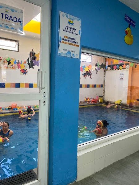 El Patito - Natación exclusiva para bebés y niños