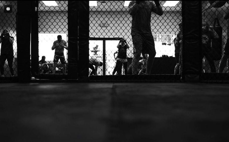 Iron Forge Fight and Fitness Ltd.
