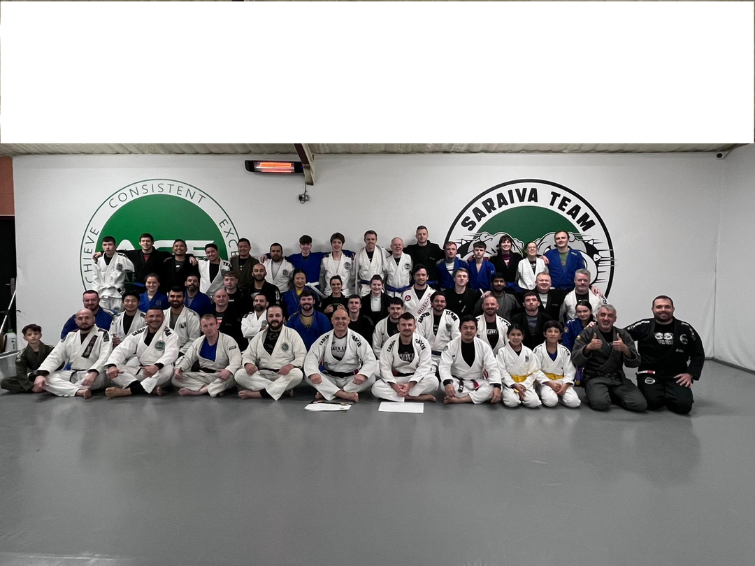 Ace Martial Arts / Carlson Gracie Ireland
