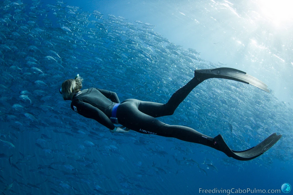 Freediving Cabo Pulmo