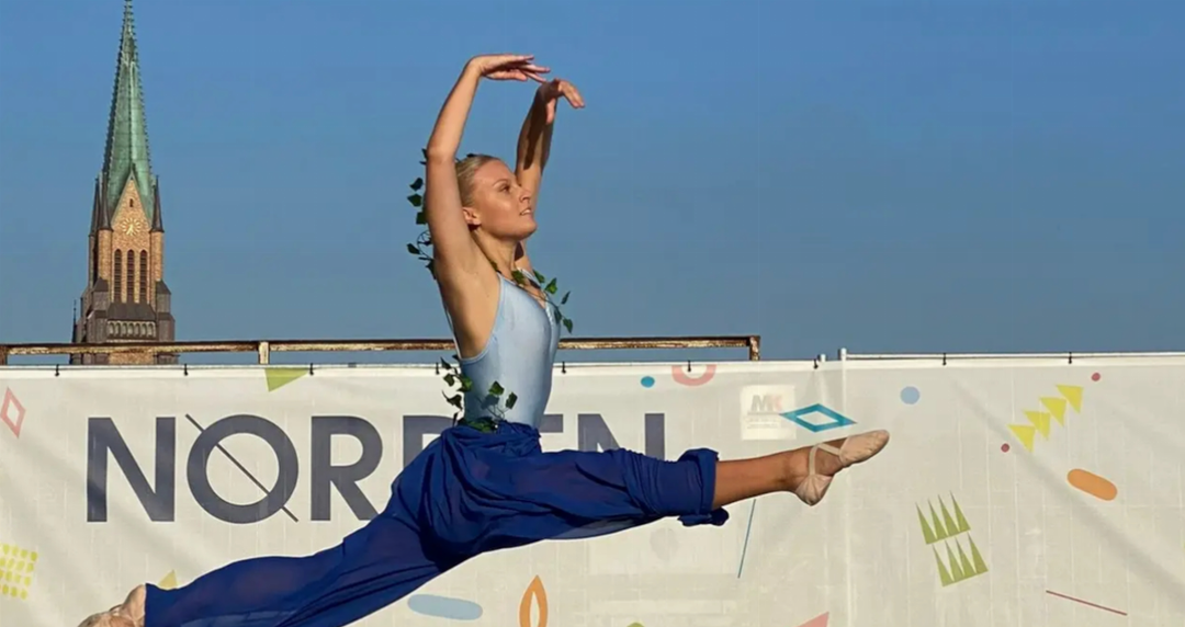 Schleswiger Ballettschule e. V.