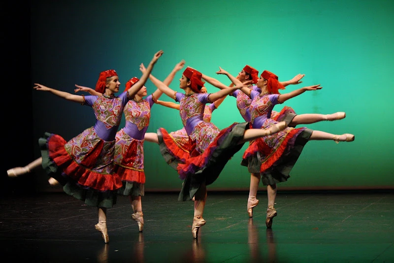 Academia de Ballet Tiempo Presente