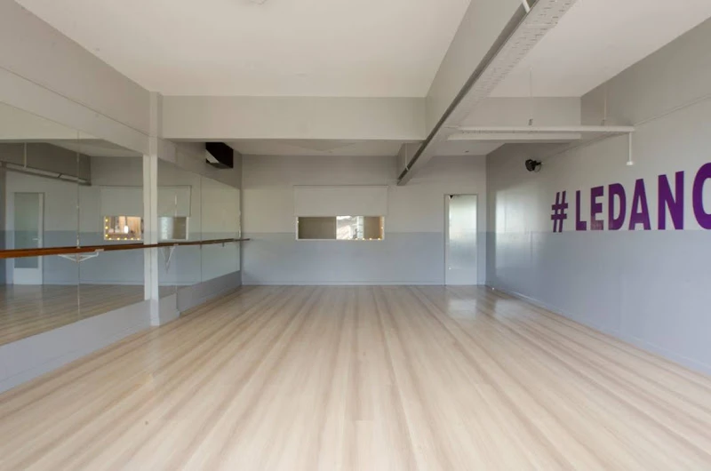 Le Dance Arte Escuela