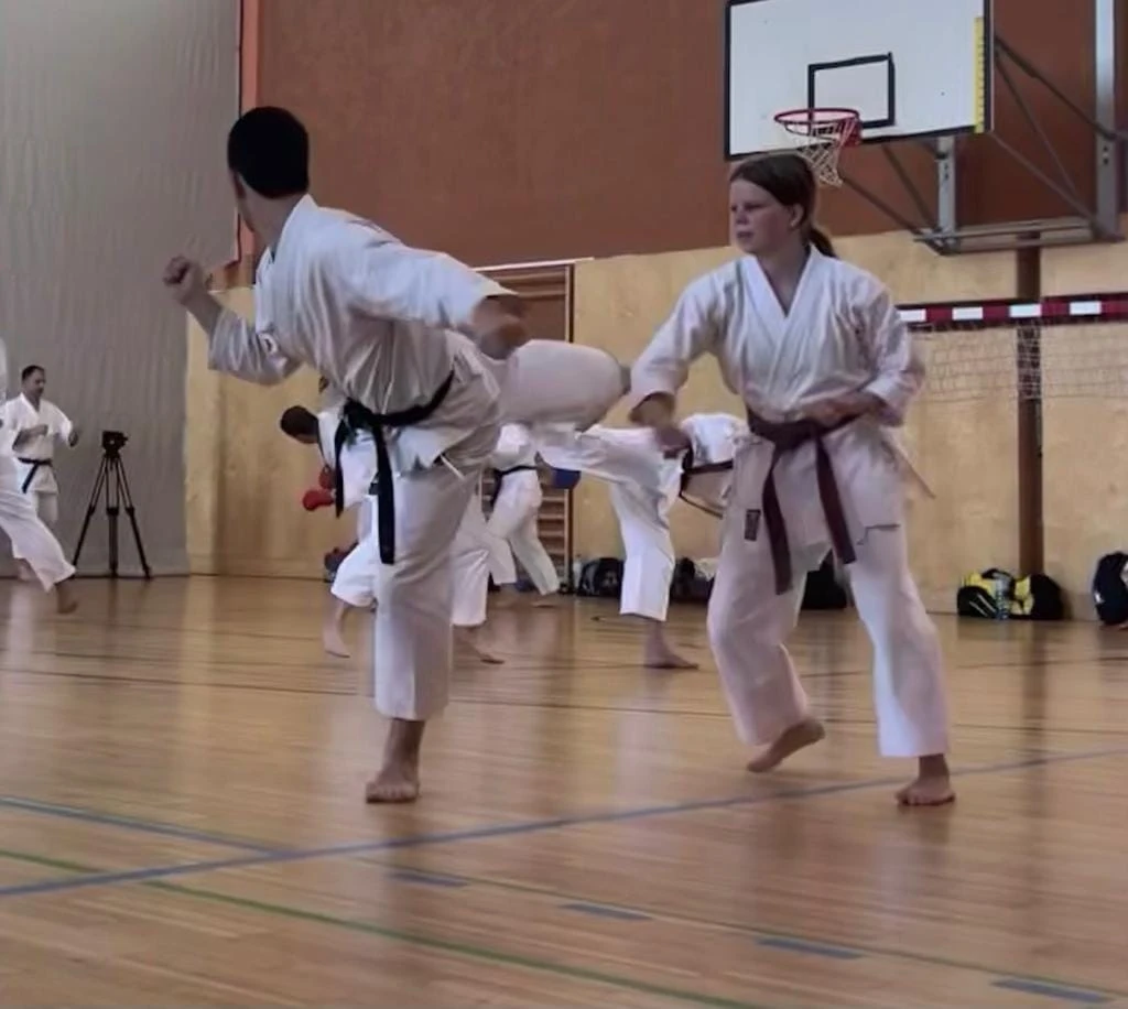 Bushido Villach - Kampfkunst