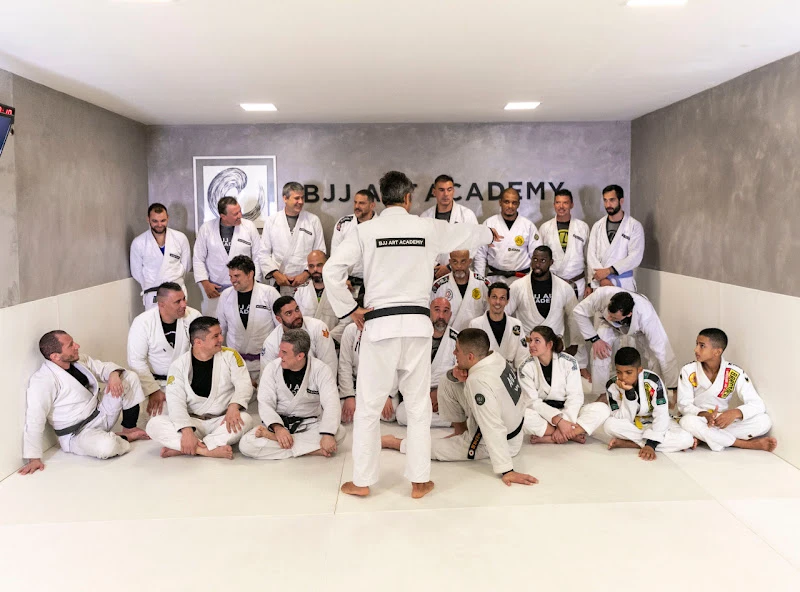 BJJ Art Academy
