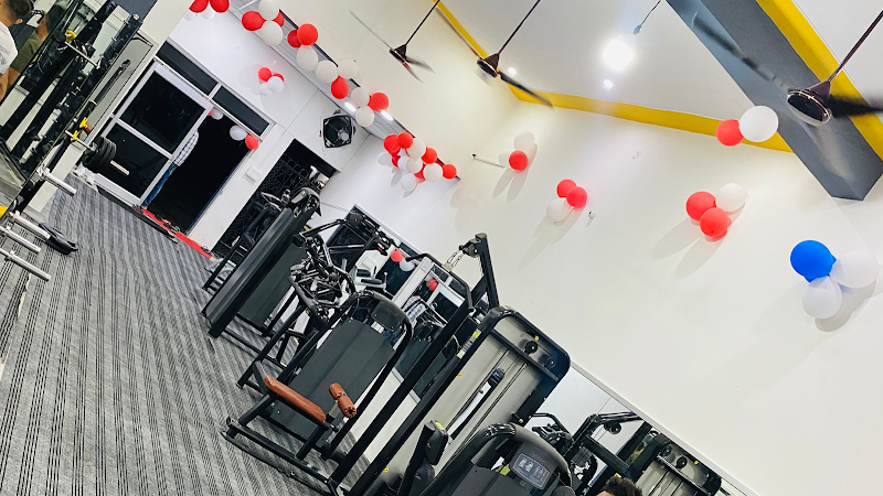 THE FORCE FITNESS