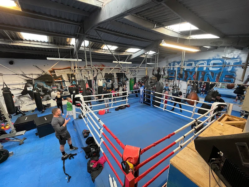 Impact Boxing: Fitness, MMA & BJJ