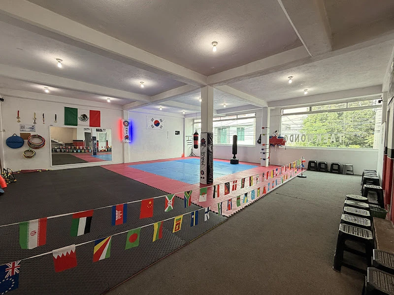 Halcones Taekwondo San Mateo Atenco