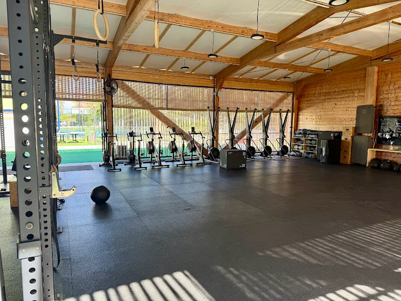 Equilibrium Fitness Experience