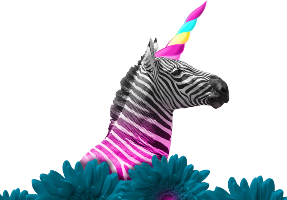 Ecstatic Prance