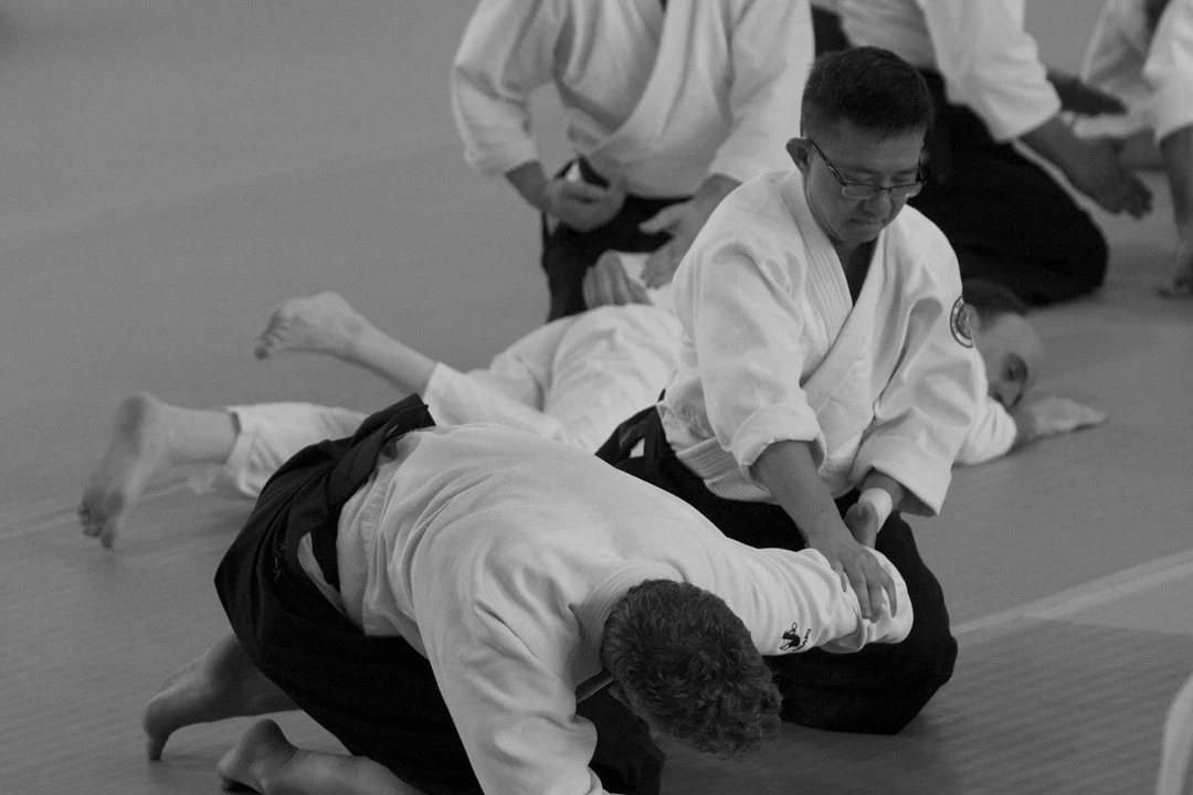Aikido Dai Etsu Dojo