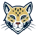 CrossFit Ocelot
