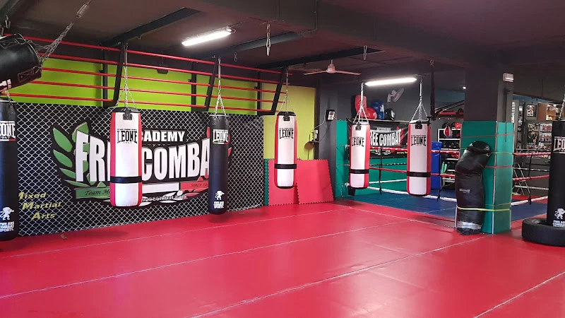 Free Combat Palestra