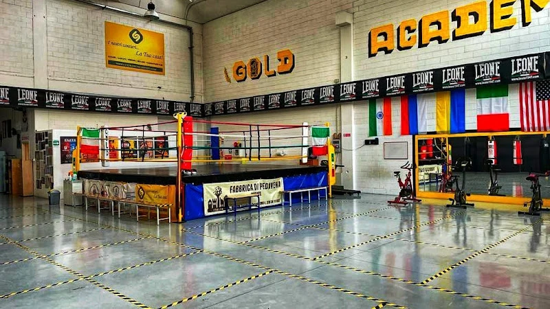 A.S.D Gold Academy Boxing Team