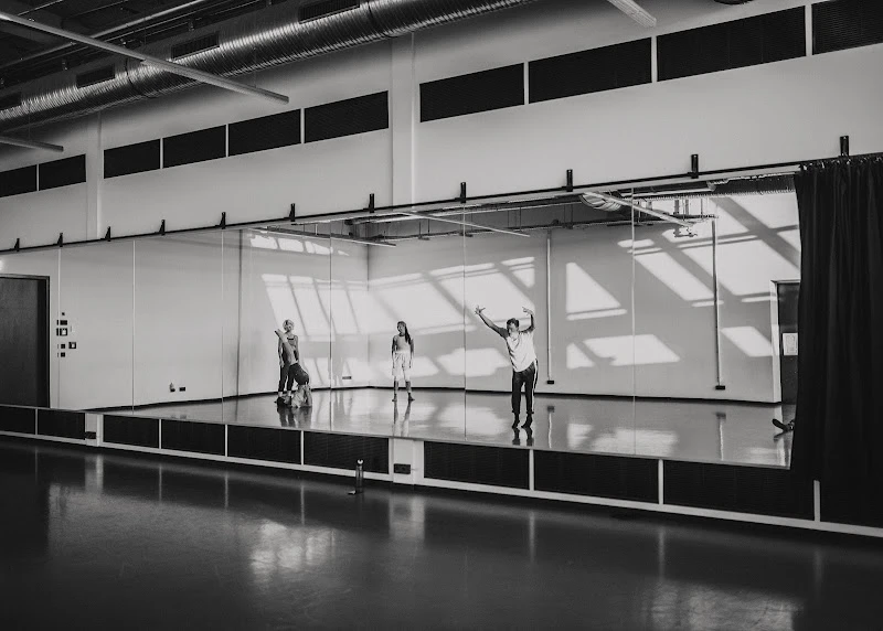 Leipziger Tanztheater e.V.