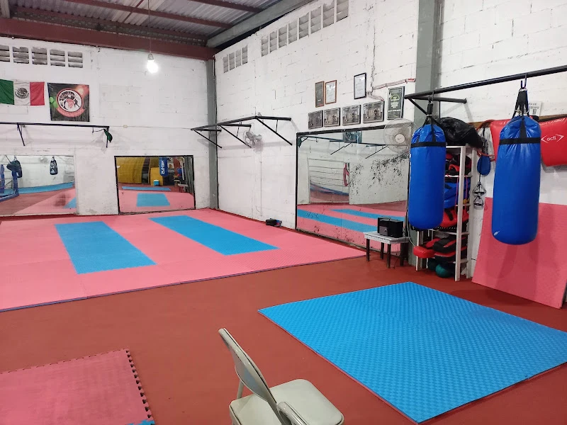 Artes Marciales Gladiador