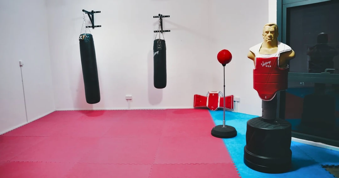 Momentum Studio