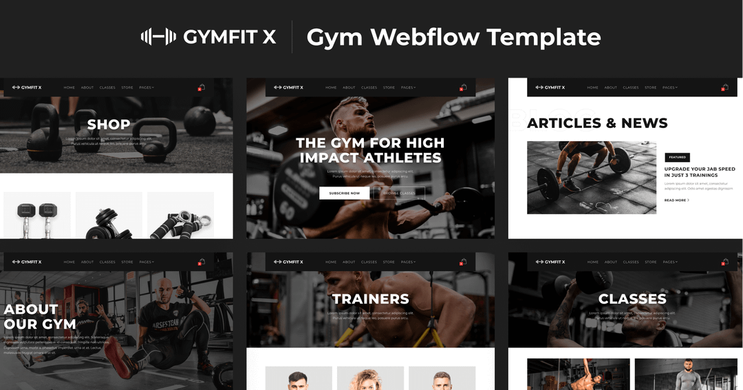 Bay Boxfit