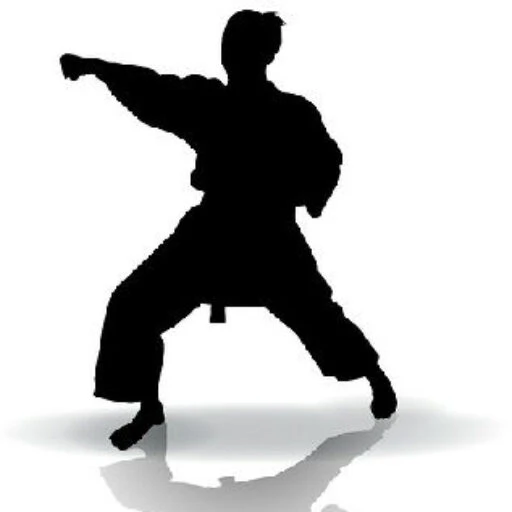 Upper Hutt Rembuden Karate