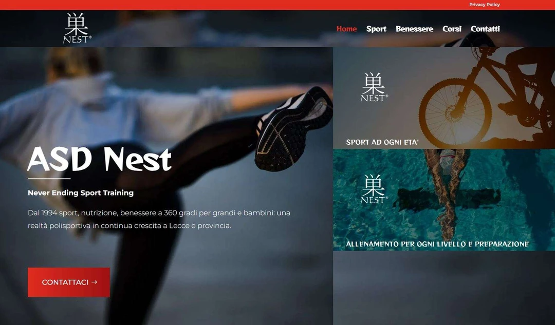 Nest