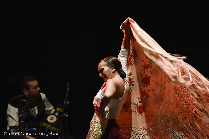 FLAMENCO CLASSES IN MADRID AMELIA VEGA