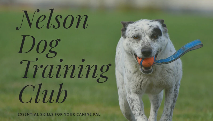 Nelson Dog Training Club