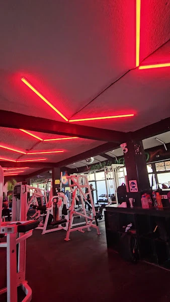 Gym elite San mateo