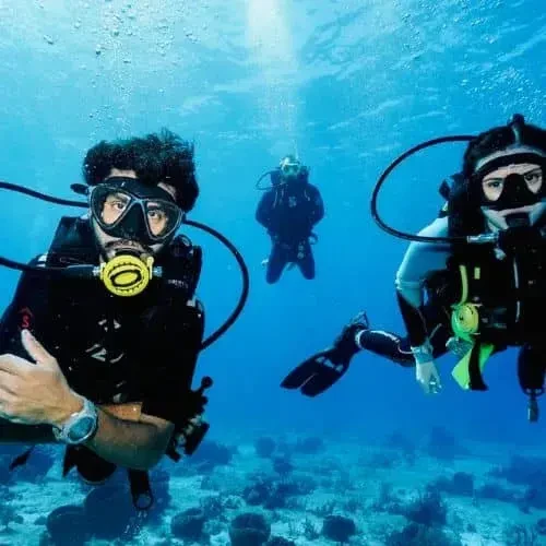 Acuaticaribe Scuba Dive Center